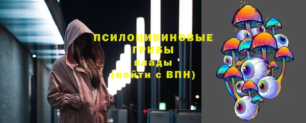 шишки Абаза