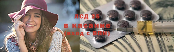 шишки Абаза