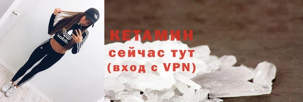 шишки Абаза