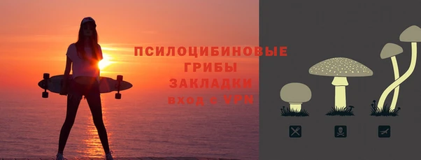 шишки Абаза