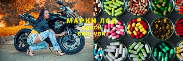 шишки Абаза