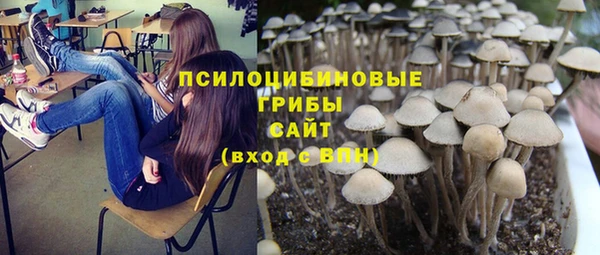 шишки Абаза