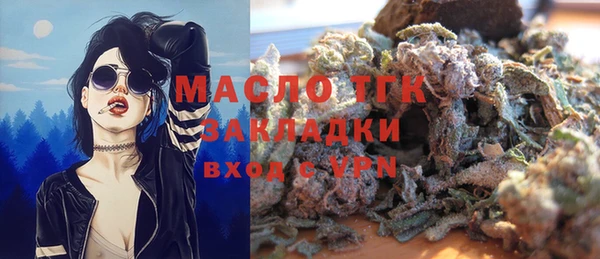 шишки Абаза