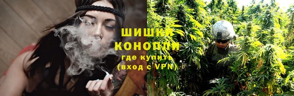 шишки Абаза
