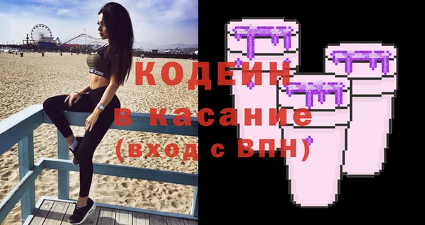 шишки Абаза