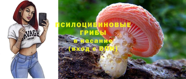 шишки Абаза