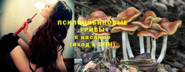 гидра Абдулино