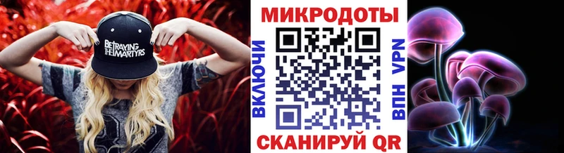 Псилоцибиновые грибы мицелий  где купить наркотик  omg ссылка  Хасавюрт 